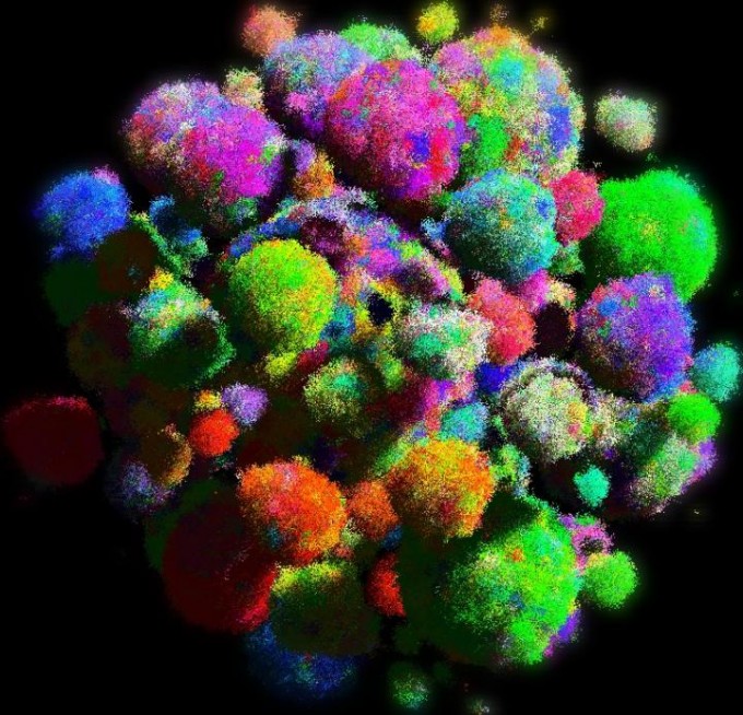 3차원 시뮬레이션으로 만든 암과 정상세포 덩어리. 다양한 색상은 다양한 종류의 세포를 의미한다. - 바틀로미 와클로우 박사 제공 제공